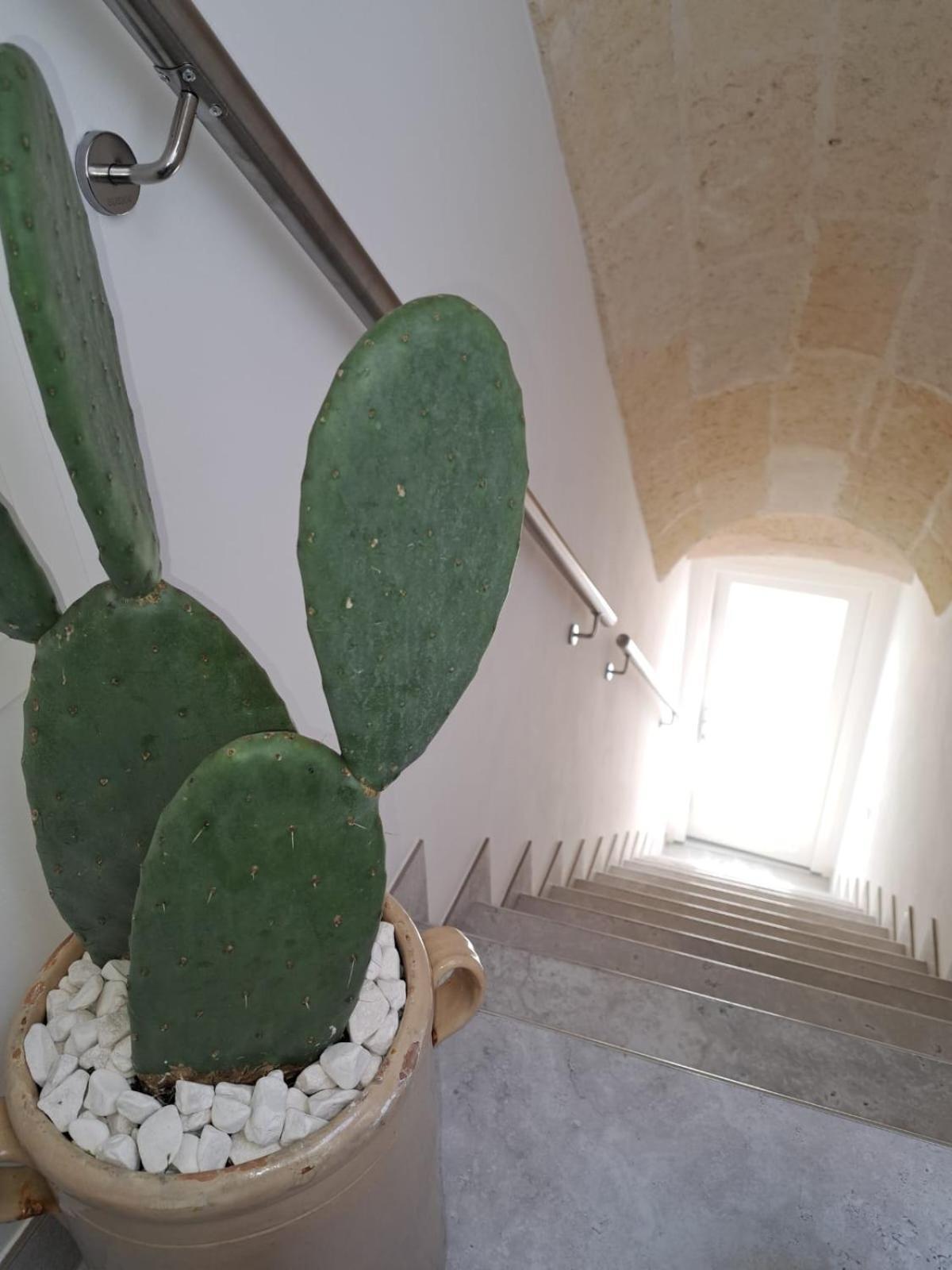Mae Apulian Rooms Grottaglie Bagian luar foto